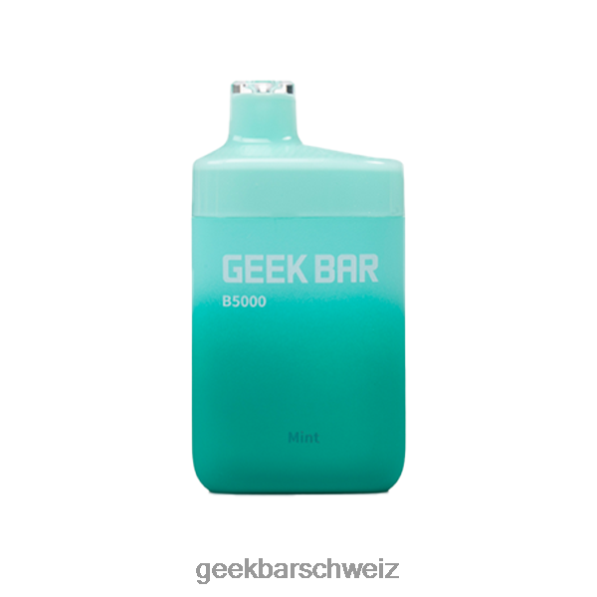 Geek Bar Einweg E-Zigarette - Geek Bar b5000 Einwegartikel 4264832 Minze