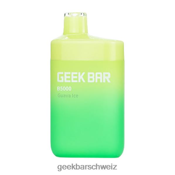 Geek Bar Nikotinfrei - Geek Bar b5000 Einwegartikel 4264829 Guaveneis